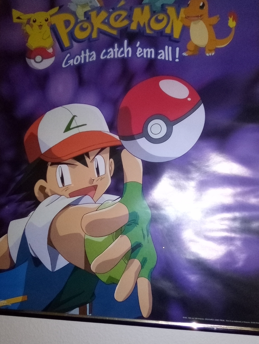 Framed Pokemon Poster Vintage